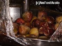 [P04] fructe pentru porci ,nu pentru oameni... » foto by adyyy7
 - 
<span class="allrVoted glyphicon glyphicon-heart hidden" id="av121700"></span>
<a class="m-l-10 hidden" id="sv121700" onclick="voting_Foto_DelVot(,121700,6083)" role="button">șterge vot <span class="glyphicon glyphicon-remove"></span></a>
<a id="v9121700" class=" c-red"  onclick="voting_Foto_SetVot(121700)" role="button"><span class="glyphicon glyphicon-heart-empty"></span> <b>LIKE</b> = Votează poza</a> <img class="hidden"  id="f121700W9" src="/imagini/loader.gif" border="0" /><span class="AjErrMes hidden" id="e121700ErM"></span>