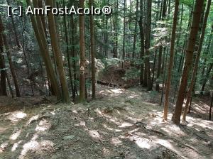 [P22] Circuitul ”300 de scări” - o porțiune destul de abruptă la coborâre.  » foto by Floryn81
 - 
<span class="allrVoted glyphicon glyphicon-heart hidden" id="av1019451"></span>
<a class="m-l-10 hidden" id="sv1019451" onclick="voting_Foto_DelVot(,1019451,6086)" role="button">șterge vot <span class="glyphicon glyphicon-remove"></span></a>
<a id="v91019451" class=" c-red"  onclick="voting_Foto_SetVot(1019451)" role="button"><span class="glyphicon glyphicon-heart-empty"></span> <b>LIKE</b> = Votează poza</a> <img class="hidden"  id="f1019451W9" src="/imagini/loader.gif" border="0" /><span class="AjErrMes hidden" id="e1019451ErM"></span>