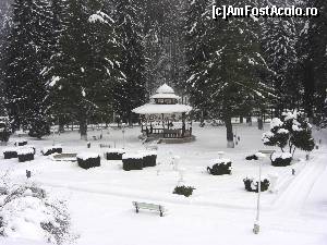 [P02] Parcul central al stațiunii » foto by Yersinia Pestis
 - 
<span class="allrVoted glyphicon glyphicon-heart hidden" id="av564929"></span>
<a class="m-l-10 hidden" id="sv564929" onclick="voting_Foto_DelVot(,564929,6086)" role="button">șterge vot <span class="glyphicon glyphicon-remove"></span></a>
<a id="v9564929" class=" c-red"  onclick="voting_Foto_SetVot(564929)" role="button"><span class="glyphicon glyphicon-heart-empty"></span> <b>LIKE</b> = Votează poza</a> <img class="hidden"  id="f564929W9" src="/imagini/loader.gif" border="0" /><span class="AjErrMes hidden" id="e564929ErM"></span>