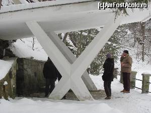 [P08] Să-i dea Dumnezeu sănătate ăluia de descoperi izvorul cu apă sărătuță, că tare-i bună!!!  » foto by Yersinia Pestis
 - 
<span class="allrVoted glyphicon glyphicon-heart hidden" id="av564941"></span>
<a class="m-l-10 hidden" id="sv564941" onclick="voting_Foto_DelVot(,564941,6086)" role="button">șterge vot <span class="glyphicon glyphicon-remove"></span></a>
<a id="v9564941" class=" c-red"  onclick="voting_Foto_SetVot(564941)" role="button"><span class="glyphicon glyphicon-heart-empty"></span> <b>LIKE</b> = Votează poza</a> <img class="hidden"  id="f564941W9" src="/imagini/loader.gif" border="0" /><span class="AjErrMes hidden" id="e564941ErM"></span>