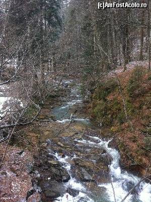[P04] Iarna, în pădure » foto by Yersinia Pestis
 - 
<span class="allrVoted glyphicon glyphicon-heart hidden" id="av599004"></span>
<a class="m-l-10 hidden" id="sv599004" onclick="voting_Foto_DelVot(,599004,6086)" role="button">șterge vot <span class="glyphicon glyphicon-remove"></span></a>
<a id="v9599004" class=" c-red"  onclick="voting_Foto_SetVot(599004)" role="button"><span class="glyphicon glyphicon-heart-empty"></span> <b>LIKE</b> = Votează poza</a> <img class="hidden"  id="f599004W9" src="/imagini/loader.gif" border="0" /><span class="AjErrMes hidden" id="e599004ErM"></span>