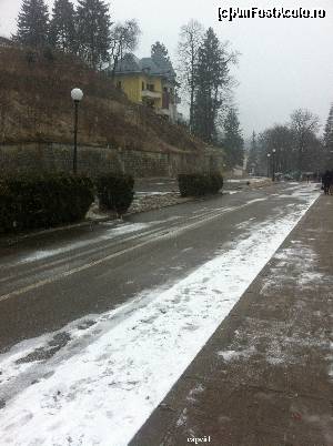 [P09] Iarna, parcul e trist!  » foto by Yersinia Pestis
 - 
<span class="allrVoted glyphicon glyphicon-heart hidden" id="av599010"></span>
<a class="m-l-10 hidden" id="sv599010" onclick="voting_Foto_DelVot(,599010,6086)" role="button">șterge vot <span class="glyphicon glyphicon-remove"></span></a>
<a id="v9599010" class=" c-red"  onclick="voting_Foto_SetVot(599010)" role="button"><span class="glyphicon glyphicon-heart-empty"></span> <b>LIKE</b> = Votează poza</a> <img class="hidden"  id="f599010W9" src="/imagini/loader.gif" border="0" /><span class="AjErrMes hidden" id="e599010ErM"></span>