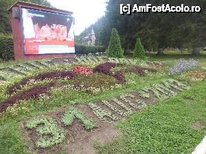 [P03] exista un panou pentru stiri, asa nu era in copilaria mea » foto by diana-camelia*
 - 
<span class="allrVoted glyphicon glyphicon-heart hidden" id="av463995"></span>
<a class="m-l-10 hidden" id="sv463995" onclick="voting_Foto_DelVot(,463995,6086)" role="button">șterge vot <span class="glyphicon glyphicon-remove"></span></a>
<a id="v9463995" class=" c-red"  onclick="voting_Foto_SetVot(463995)" role="button"><span class="glyphicon glyphicon-heart-empty"></span> <b>LIKE</b> = Votează poza</a> <img class="hidden"  id="f463995W9" src="/imagini/loader.gif" border="0" /><span class="AjErrMes hidden" id="e463995ErM"></span>
