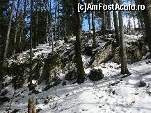 [P10] Am parasit pasunea si am inceput sa coboram destul de serios prin padure » foto by Claudiu U.
 - 
<span class="allrVoted glyphicon glyphicon-heart hidden" id="av192593"></span>
<a class="m-l-10 hidden" id="sv192593" onclick="voting_Foto_DelVot(,192593,6094)" role="button">șterge vot <span class="glyphicon glyphicon-remove"></span></a>
<a id="v9192593" class=" c-red"  onclick="voting_Foto_SetVot(192593)" role="button"><span class="glyphicon glyphicon-heart-empty"></span> <b>LIKE</b> = Votează poza</a> <img class="hidden"  id="f192593W9" src="/imagini/loader.gif" border="0" /><span class="AjErrMes hidden" id="e192593ErM"></span>