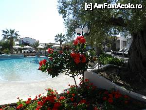 [P25] Flegra Palace hotel - Kasandra Halkidiki-mai2013 » foto by ionescunic
 - 
<span class="allrVoted glyphicon glyphicon-heart hidden" id="av489729"></span>
<a class="m-l-10 hidden" id="sv489729" onclick="voting_Foto_DelVot(,489729,6099)" role="button">șterge vot <span class="glyphicon glyphicon-remove"></span></a>
<a id="v9489729" class=" c-red"  onclick="voting_Foto_SetVot(489729)" role="button"><span class="glyphicon glyphicon-heart-empty"></span> <b>LIKE</b> = Votează poza</a> <img class="hidden"  id="f489729W9" src="/imagini/loader.gif" border="0" /><span class="AjErrMes hidden" id="e489729ErM"></span>