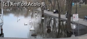 [P62] Tiraspol, Parcul Ecaterina, Lacul cu lebede și rațe » foto by mprofeanu
 - 
<span class="allrVoted glyphicon glyphicon-heart hidden" id="av1492701"></span>
<a class="m-l-10 hidden" id="sv1492701" onclick="voting_Foto_DelVot(,1492701,6113)" role="button">șterge vot <span class="glyphicon glyphicon-remove"></span></a>
<a id="v91492701" class=" c-red"  onclick="voting_Foto_SetVot(1492701)" role="button"><span class="glyphicon glyphicon-heart-empty"></span> <b>LIKE</b> = Votează poza</a> <img class="hidden"  id="f1492701W9" src="/imagini/loader.gif" border="0" /><span class="AjErrMes hidden" id="e1492701ErM"></span>