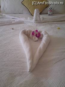[P21] OBISNUITELE ANIMALUTE » foto by eug
 - 
<span class="allrVoted glyphicon glyphicon-heart hidden" id="av86516"></span>
<a class="m-l-10 hidden" id="sv86516" onclick="voting_Foto_DelVot(,86516,6124)" role="button">șterge vot <span class="glyphicon glyphicon-remove"></span></a>
<a id="v986516" class=" c-red"  onclick="voting_Foto_SetVot(86516)" role="button"><span class="glyphicon glyphicon-heart-empty"></span> <b>LIKE</b> = Votează poza</a> <img class="hidden"  id="f86516W9" src="/imagini/loader.gif" border="0" /><span class="AjErrMes hidden" id="e86516ErM"></span>