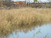 [P21] Lacul Amara - peisaje superbe pe malul lacului » foto by valimi
 - 
<span class="allrVoted glyphicon glyphicon-heart hidden" id="av160809"></span>
<a class="m-l-10 hidden" id="sv160809" onclick="voting_Foto_DelVot(,160809,6129)" role="button">șterge vot <span class="glyphicon glyphicon-remove"></span></a>
<a id="v9160809" class=" c-red"  onclick="voting_Foto_SetVot(160809)" role="button"><span class="glyphicon glyphicon-heart-empty"></span> <b>LIKE</b> = Votează poza</a> <img class="hidden"  id="f160809W9" src="/imagini/loader.gif" border="0" /><span class="AjErrMes hidden" id="e160809ErM"></span>