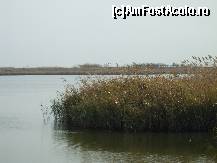 [P06] Lacul Amara - peisaje superbe pe malurile salbatice » foto by valimi
 - 
<span class="allrVoted glyphicon glyphicon-heart hidden" id="av160794"></span>
<a class="m-l-10 hidden" id="sv160794" onclick="voting_Foto_DelVot(,160794,6129)" role="button">șterge vot <span class="glyphicon glyphicon-remove"></span></a>
<a id="v9160794" class=" c-red"  onclick="voting_Foto_SetVot(160794)" role="button"><span class="glyphicon glyphicon-heart-empty"></span> <b>LIKE</b> = Votează poza</a> <img class="hidden"  id="f160794W9" src="/imagini/loader.gif" border="0" /><span class="AjErrMes hidden" id="e160794ErM"></span>