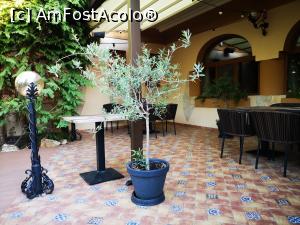 [P12] Platan Garden; terasa » foto by crismis
 - 
<span class="allrVoted glyphicon glyphicon-heart hidden" id="av1330479"></span>
<a class="m-l-10 hidden" id="sv1330479" onclick="voting_Foto_DelVot(,1330479,6135)" role="button">șterge vot <span class="glyphicon glyphicon-remove"></span></a>
<a id="v91330479" class=" c-red"  onclick="voting_Foto_SetVot(1330479)" role="button"><span class="glyphicon glyphicon-heart-empty"></span> <b>LIKE</b> = Votează poza</a> <img class="hidden"  id="f1330479W9" src="/imagini/loader.gif" border="0" /><span class="AjErrMes hidden" id="e1330479ErM"></span>
