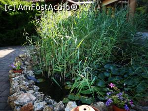 [P04] Platan Garden; micul iaz cu plante și pești » foto by crismis
 - 
<span class="allrVoted glyphicon glyphicon-heart hidden" id="av1330471"></span>
<a class="m-l-10 hidden" id="sv1330471" onclick="voting_Foto_DelVot(,1330471,6135)" role="button">șterge vot <span class="glyphicon glyphicon-remove"></span></a>
<a id="v91330471" class=" c-red"  onclick="voting_Foto_SetVot(1330471)" role="button"><span class="glyphicon glyphicon-heart-empty"></span> <b>LIKE</b> = Votează poza</a> <img class="hidden"  id="f1330471W9" src="/imagini/loader.gif" border="0" /><span class="AjErrMes hidden" id="e1330471ErM"></span>