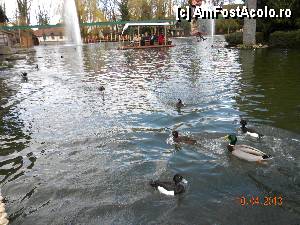 [P33] Ratustele erau la ele acasa in Adventure Land » foto by bitnic
 - 
<span class="allrVoted glyphicon glyphicon-heart hidden" id="av415459"></span>
<a class="m-l-10 hidden" id="sv415459" onclick="voting_Foto_DelVot(,415459,6189)" role="button">șterge vot <span class="glyphicon glyphicon-remove"></span></a>
<a id="v9415459" class=" c-red"  onclick="voting_Foto_SetVot(415459)" role="button"><span class="glyphicon glyphicon-heart-empty"></span> <b>LIKE</b> = Votează poza</a> <img class="hidden"  id="f415459W9" src="/imagini/loader.gif" border="0" /><span class="AjErrMes hidden" id="e415459ErM"></span>