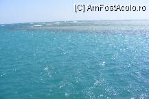 [P07] Marea Rosie are zeci de culori chiar vazuta de la suprafata. » foto by IUBONI
 - 
<span class="allrVoted glyphicon glyphicon-heart hidden" id="av89206"></span>
<a class="m-l-10 hidden" id="sv89206" onclick="voting_Foto_DelVot(,89206,6192)" role="button">șterge vot <span class="glyphicon glyphicon-remove"></span></a>
<a id="v989206" class=" c-red"  onclick="voting_Foto_SetVot(89206)" role="button"><span class="glyphicon glyphicon-heart-empty"></span> <b>LIKE</b> = Votează poza</a> <img class="hidden"  id="f89206W9" src="/imagini/loader.gif" border="0" /><span class="AjErrMes hidden" id="e89206ErM"></span>