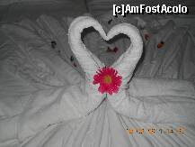 [P03] Lebedele... » foto by chichirichi*
 - 
<span class="allrVoted glyphicon glyphicon-heart hidden" id="av246715"></span>
<a class="m-l-10 hidden" id="sv246715" onclick="voting_Foto_DelVot(,246715,6195)" role="button">șterge vot <span class="glyphicon glyphicon-remove"></span></a>
<a id="v9246715" class=" c-red"  onclick="voting_Foto_SetVot(246715)" role="button"><span class="glyphicon glyphicon-heart-empty"></span> <b>LIKE</b> = Votează poza</a> <img class="hidden"  id="f246715W9" src="/imagini/loader.gif" border="0" /><span class="AjErrMes hidden" id="e246715ErM"></span>