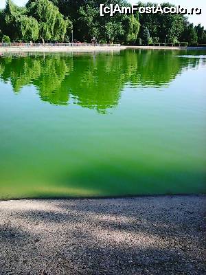 [P01] lacul, in spate se vede locul de joaca » foto by papalito
 - 
<span class="allrVoted glyphicon glyphicon-heart hidden" id="av651961"></span>
<a class="m-l-10 hidden" id="sv651961" onclick="voting_Foto_DelVot(,651961,6204)" role="button">șterge vot <span class="glyphicon glyphicon-remove"></span></a>
<a id="v9651961" class=" c-red"  onclick="voting_Foto_SetVot(651961)" role="button"><span class="glyphicon glyphicon-heart-empty"></span> <b>LIKE</b> = Votează poza</a> <img class="hidden"  id="f651961W9" src="/imagini/loader.gif" border="0" /><span class="AjErrMes hidden" id="e651961ErM"></span>