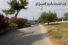 [P12] vedere din fata hotelului pe stada catre centru statiunii/strada principala » foto by mincos
 - 
<span class="allrVoted glyphicon glyphicon-heart hidden" id="av345321"></span>
<a class="m-l-10 hidden" id="sv345321" onclick="voting_Foto_DelVot(,345321,6205)" role="button">șterge vot <span class="glyphicon glyphicon-remove"></span></a>
<a id="v9345321" class=" c-red"  onclick="voting_Foto_SetVot(345321)" role="button"><span class="glyphicon glyphicon-heart-empty"></span> <b>LIKE</b> = Votează poza</a> <img class="hidden"  id="f345321W9" src="/imagini/loader.gif" border="0" /><span class="AjErrMes hidden" id="e345321ErM"></span>