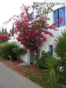 [P07] ferestre albastre si bougainvillea in resortul Porto Galini » foto by miha_t
 - 
<span class="allrVoted glyphicon glyphicon-heart hidden" id="av89673"></span>
<a class="m-l-10 hidden" id="sv89673" onclick="voting_Foto_DelVot(,89673,6212)" role="button">șterge vot <span class="glyphicon glyphicon-remove"></span></a>
<a id="v989673" class=" c-red"  onclick="voting_Foto_SetVot(89673)" role="button"><span class="glyphicon glyphicon-heart-empty"></span> <b>LIKE</b> = Votează poza</a> <img class="hidden"  id="f89673W9" src="/imagini/loader.gif" border="0" /><span class="AjErrMes hidden" id="e89673ErM"></span>