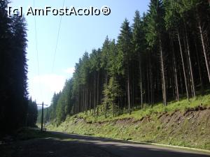 [P23] Admirăm o pădure superbă de brazi.  » foto by Floryn81
 - 
<span class="allrVoted glyphicon glyphicon-heart hidden" id="av756670"></span>
<a class="m-l-10 hidden" id="sv756670" onclick="voting_Foto_DelVot(,756670,6227)" role="button">șterge vot <span class="glyphicon glyphicon-remove"></span></a>
<a id="v9756670" class=" c-red"  onclick="voting_Foto_SetVot(756670)" role="button"><span class="glyphicon glyphicon-heart-empty"></span> <b>LIKE</b> = Votează poza</a> <img class="hidden"  id="f756670W9" src="/imagini/loader.gif" border="0" /><span class="AjErrMes hidden" id="e756670ErM"></span>