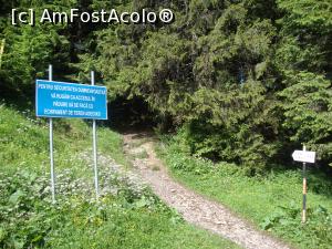 [P35] La pas spre Stânca Șoimului. Traseul este ușor și scurt, vreo 15 minute de mers.  » foto by Floryn81
 - 
<span class="allrVoted glyphicon glyphicon-heart hidden" id="av756682"></span>
<a class="m-l-10 hidden" id="sv756682" onclick="voting_Foto_DelVot(,756682,6227)" role="button">șterge vot <span class="glyphicon glyphicon-remove"></span></a>
<a id="v9756682" class=" c-red"  onclick="voting_Foto_SetVot(756682)" role="button"><span class="glyphicon glyphicon-heart-empty"></span> <b>LIKE</b> = Votează poza</a> <img class="hidden"  id="f756682W9" src="/imagini/loader.gif" border="0" /><span class="AjErrMes hidden" id="e756682ErM"></span>