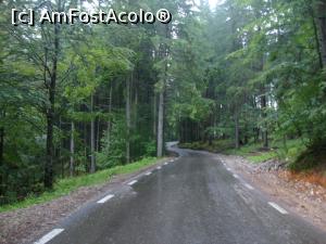 [P08] Imediat după ce am ieșit din satul Chiril am urcat tot mai pronunțat prin pădure, iar drumul s-a îngustat. » foto by Floryn81
 - 
<span class="allrVoted glyphicon glyphicon-heart hidden" id="av756654"></span>
<a class="m-l-10 hidden" id="sv756654" onclick="voting_Foto_DelVot(,756654,6227)" role="button">șterge vot <span class="glyphicon glyphicon-remove"></span></a>
<a id="v9756654" class=" c-red"  onclick="voting_Foto_SetVot(756654)" role="button"><span class="glyphicon glyphicon-heart-empty"></span> <b>LIKE</b> = Votează poza</a> <img class="hidden"  id="f756654W9" src="/imagini/loader.gif" border="0" /><span class="AjErrMes hidden" id="e756654ErM"></span>
