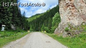 [P01] Intrarea în Cheile Lucavei cu podul peste pârâul Lucava. Stânca din dreapta este vizibilă de la mari depărtări. În partea stângă, dincolo de pârâu, sunt cele două izvoare descrise în text.  » foto by Lucien
 - 
<span class="allrVoted glyphicon glyphicon-heart hidden" id="av836982"></span>
<a class="m-l-10 hidden" id="sv836982" onclick="voting_Foto_DelVot(,836982,6227)" role="button">șterge vot <span class="glyphicon glyphicon-remove"></span></a>
<a id="v9836982" class=" c-red"  onclick="voting_Foto_SetVot(836982)" role="button"><span class="glyphicon glyphicon-heart-empty"></span> <b>LIKE</b> = Votează poza</a> <img class="hidden"  id="f836982W9" src="/imagini/loader.gif" border="0" /><span class="AjErrMes hidden" id="e836982ErM"></span>