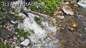 [P10] Detaliu (1) cu izvorul sulfuros. Apa are un gust leșios, puțin neplăcut, dar posibil cu proprietăți curative. Vegetația și pietrele din jur sunt acoperite de depuneri moi, albicioase-gălbui, cu aspect unsuros.  » foto by Lucien
 - 
<span class="allrVoted glyphicon glyphicon-heart hidden" id="av836991"></span>
<a class="m-l-10 hidden" id="sv836991" onclick="voting_Foto_DelVot(,836991,6227)" role="button">șterge vot <span class="glyphicon glyphicon-remove"></span></a>
<a id="v9836991" class=" c-red"  onclick="voting_Foto_SetVot(836991)" role="button"><span class="glyphicon glyphicon-heart-empty"></span> <b>LIKE</b> = Votează poza</a> <img class="hidden"  id="f836991W9" src="/imagini/loader.gif" border="0" /><span class="AjErrMes hidden" id="e836991ErM"></span>