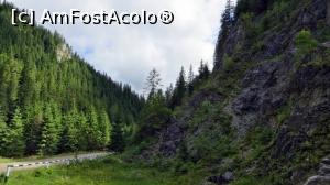 [P15] Stâncării din partea de sus a Cheilor Lucavei. În prim-plan este locul unde Direcţia Silvică Suceava a amenajat un loc de popas.  » foto by Lucien
 - 
<span class="allrVoted glyphicon glyphicon-heart hidden" id="av836996"></span>
<a class="m-l-10 hidden" id="sv836996" onclick="voting_Foto_DelVot(,836996,6227)" role="button">șterge vot <span class="glyphicon glyphicon-remove"></span></a>
<a id="v9836996" class=" c-red"  onclick="voting_Foto_SetVot(836996)" role="button"><span class="glyphicon glyphicon-heart-empty"></span> <b>LIKE</b> = Votează poza</a> <img class="hidden"  id="f836996W9" src="/imagini/loader.gif" border="0" /><span class="AjErrMes hidden" id="e836996ErM"></span>
