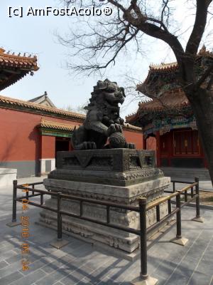 [P09] Beijing, Templul Lama, Leul (Împăratul) cu bila » foto by mprofeanu
 - 
<span class="allrVoted glyphicon glyphicon-heart hidden" id="av831273"></span>
<a class="m-l-10 hidden" id="sv831273" onclick="voting_Foto_DelVot(,831273,6234)" role="button">șterge vot <span class="glyphicon glyphicon-remove"></span></a>
<a id="v9831273" class=" c-red"  onclick="voting_Foto_SetVot(831273)" role="button"><span class="glyphicon glyphicon-heart-empty"></span> <b>LIKE</b> = Votează poza</a> <img class="hidden"  id="f831273W9" src="/imagini/loader.gif" border="0" /><span class="AjErrMes hidden" id="e831273ErM"></span>