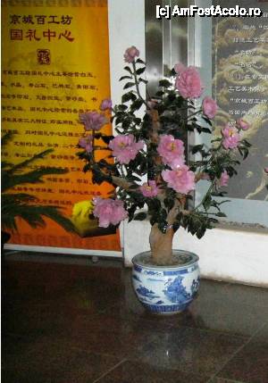 [P12] Atelier de covoare si lucrari cusute cu fir de matase - vaza cu tot cu pomi si flori din ceramic aflata la intrare » foto by cdiana
 - 
<span class="allrVoted glyphicon glyphicon-heart hidden" id="av477106"></span>
<a class="m-l-10 hidden" id="sv477106" onclick="voting_Foto_DelVot(,477106,6234)" role="button">șterge vot <span class="glyphicon glyphicon-remove"></span></a>
<a id="v9477106" class=" c-red"  onclick="voting_Foto_SetVot(477106)" role="button"><span class="glyphicon glyphicon-heart-empty"></span> <b>LIKE</b> = Votează poza</a> <img class="hidden"  id="f477106W9" src="/imagini/loader.gif" border="0" /><span class="AjErrMes hidden" id="e477106ErM"></span>