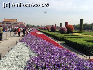 [P01] Piata Tiananmen » foto by Lila Mo
 - 
<span class="allrVoted glyphicon glyphicon-heart hidden" id="av937061"></span>
<a class="m-l-10 hidden" id="sv937061" onclick="voting_Foto_DelVot(,937061,6234)" role="button">șterge vot <span class="glyphicon glyphicon-remove"></span></a>
<a id="v9937061" class=" c-red"  onclick="voting_Foto_SetVot(937061)" role="button"><span class="glyphicon glyphicon-heart-empty"></span> <b>LIKE</b> = Votează poza</a> <img class="hidden"  id="f937061W9" src="/imagini/loader.gif" border="0" /><span class="AjErrMes hidden" id="e937061ErM"></span>