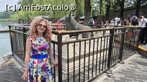 [P03] Inainte de a ajunge la pod, un bou de bronz, care initial a fost acoperit cu foita de aur, in marime naturala, a fost asezat pe un piedestal din piatra, rolul acestuia fiind de a proteja malul lacului de inundatii. Fundamentul malului de est al lacului Kunming a fost construit cu10 metri mai sus decat Orasul Interzis, iar ruperea malului de est ar insemna ca Orasul Interzis ar fi in pericol. Pentru monitorizarea nivelului apei, aici a fost asezat boul de bronz. » foto by geani anto
 - 
<span class="allrVoted glyphicon glyphicon-heart hidden" id="av1486653"></span>
<a class="m-l-10 hidden" id="sv1486653" onclick="voting_Foto_DelVot(,1486653,6234)" role="button">șterge vot <span class="glyphicon glyphicon-remove"></span></a>
<a id="v91486653" class=" c-red"  onclick="voting_Foto_SetVot(1486653)" role="button"><span class="glyphicon glyphicon-heart-empty"></span> <b>LIKE</b> = Votează poza</a> <img class="hidden"  id="f1486653W9" src="/imagini/loader.gif" border="0" /><span class="AjErrMes hidden" id="e1486653ErM"></span>