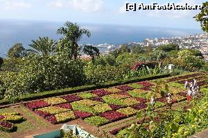 [P05] Madeira » foto by traian53
 - 
<span class="allrVoted glyphicon glyphicon-heart hidden" id="av570485"></span>
<a class="m-l-10 hidden" id="sv570485" onclick="voting_Foto_DelVot(,570485,6238)" role="button">șterge vot <span class="glyphicon glyphicon-remove"></span></a>
<a id="v9570485" class=" c-red"  onclick="voting_Foto_SetVot(570485)" role="button"><span class="glyphicon glyphicon-heart-empty"></span> <b>LIKE</b> = Votează poza</a> <img class="hidden"  id="f570485W9" src="/imagini/loader.gif" border="0" /><span class="AjErrMes hidden" id="e570485ErM"></span>