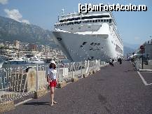 [P02] Monte Carlo » foto by Emma M
 - 
<span class="allrVoted glyphicon glyphicon-heart hidden" id="av91481"></span>
<a class="m-l-10 hidden" id="sv91481" onclick="voting_Foto_DelVot(,91481,6238)" role="button">șterge vot <span class="glyphicon glyphicon-remove"></span></a>
<a id="v991481" class=" c-red"  onclick="voting_Foto_SetVot(91481)" role="button"><span class="glyphicon glyphicon-heart-empty"></span> <b>LIKE</b> = Votează poza</a> <img class="hidden"  id="f91481W9" src="/imagini/loader.gif" border="0" /><span class="AjErrMes hidden" id="e91481ErM"></span>