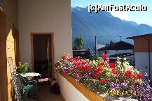 [P40] Dimineata pe balcon » foto by Alina53
 - 
<span class="allrVoted glyphicon glyphicon-heart hidden" id="av237441"></span>
<a class="m-l-10 hidden" id="sv237441" onclick="voting_Foto_DelVot(,237441,6243)" role="button">șterge vot <span class="glyphicon glyphicon-remove"></span></a>
<a id="v9237441" class=" c-red"  onclick="voting_Foto_SetVot(237441)" role="button"><span class="glyphicon glyphicon-heart-empty"></span> <b>LIKE</b> = Votează poza</a> <img class="hidden"  id="f237441W9" src="/imagini/loader.gif" border="0" /><span class="AjErrMes hidden" id="e237441ErM"></span>