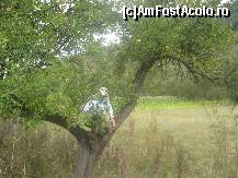 [P06] Teaca. Sa fie acesta noul meu mar? » foto by dorgo
 - 
<span class="allrVoted glyphicon glyphicon-heart hidden" id="av91858"></span>
<a class="m-l-10 hidden" id="sv91858" onclick="voting_Foto_DelVot(,91858,6252)" role="button">șterge vot <span class="glyphicon glyphicon-remove"></span></a>
<a id="v991858" class=" c-red"  onclick="voting_Foto_SetVot(91858)" role="button"><span class="glyphicon glyphicon-heart-empty"></span> <b>LIKE</b> = Votează poza</a> <img class="hidden"  id="f91858W9" src="/imagini/loader.gif" border="0" /><span class="AjErrMes hidden" id="e91858ErM"></span>