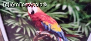 [P27] Zoo, Oradea » foto by Mioritik
 - 
<span class="allrVoted glyphicon glyphicon-heart hidden" id="av1400205"></span>
<a class="m-l-10 hidden" id="sv1400205" onclick="voting_Foto_DelVot(,1400205,6275)" role="button">șterge vot <span class="glyphicon glyphicon-remove"></span></a>
<a id="v91400205" class=" c-red"  onclick="voting_Foto_SetVot(1400205)" role="button"><span class="glyphicon glyphicon-heart-empty"></span> <b>LIKE</b> = Votează poza</a> <img class="hidden"  id="f1400205W9" src="/imagini/loader.gif" border="0" /><span class="AjErrMes hidden" id="e1400205ErM"></span>