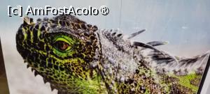 [P28] Zoo Oradea » foto by Mioritik
 - 
<span class="allrVoted glyphicon glyphicon-heart hidden" id="av1400206"></span>
<a class="m-l-10 hidden" id="sv1400206" onclick="voting_Foto_DelVot(,1400206,6275)" role="button">șterge vot <span class="glyphicon glyphicon-remove"></span></a>
<a id="v91400206" class=" c-red"  onclick="voting_Foto_SetVot(1400206)" role="button"><span class="glyphicon glyphicon-heart-empty"></span> <b>LIKE</b> = Votează poza</a> <img class="hidden"  id="f1400206W9" src="/imagini/loader.gif" border="0" /><span class="AjErrMes hidden" id="e1400206ErM"></span>