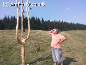 [P16] Si eu incotro sa merg? Hei, ma lamureste cineva?  » foto by monik-50
 - 
<span class="allrVoted glyphicon glyphicon-heart hidden" id="av747951"></span>
<a class="m-l-10 hidden" id="sv747951" onclick="voting_Foto_DelVot(,747951,6286)" role="button">șterge vot <span class="glyphicon glyphicon-remove"></span></a>
<a id="v9747951" class=" c-red"  onclick="voting_Foto_SetVot(747951)" role="button"><span class="glyphicon glyphicon-heart-empty"></span> <b>LIKE</b> = Votează poza</a> <img class="hidden"  id="f747951W9" src="/imagini/loader.gif" border="0" /><span class="AjErrMes hidden" id="e747951ErM"></span>
