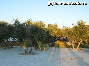 [P02] livada de maslini » foto by A&N
 - 
<span class="allrVoted glyphicon glyphicon-heart hidden" id="av498978"></span>
<a class="m-l-10 hidden" id="sv498978" onclick="voting_Foto_DelVot(,498978,6310)" role="button">șterge vot <span class="glyphicon glyphicon-remove"></span></a>
<a id="v9498978" class=" c-red"  onclick="voting_Foto_SetVot(498978)" role="button"><span class="glyphicon glyphicon-heart-empty"></span> <b>LIKE</b> = Votează poza</a> <img class="hidden"  id="f498978W9" src="/imagini/loader.gif" border="0" /><span class="AjErrMes hidden" id="e498978ErM"></span>