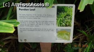 [P35] Informatii despre pandan » foto by mecut
 - 
<span class="allrVoted glyphicon glyphicon-heart hidden" id="av1141305"></span>
<a class="m-l-10 hidden" id="sv1141305" onclick="voting_Foto_DelVot(,1141305,6314)" role="button">șterge vot <span class="glyphicon glyphicon-remove"></span></a>
<a id="v91141305" class=" c-red"  onclick="voting_Foto_SetVot(1141305)" role="button"><span class="glyphicon glyphicon-heart-empty"></span> <b>LIKE</b> = Votează poza</a> <img class="hidden"  id="f1141305W9" src="/imagini/loader.gif" border="0" /><span class="AjErrMes hidden" id="e1141305ErM"></span>