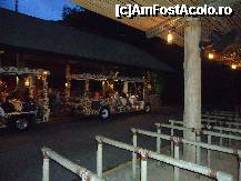 [P49] La Night Safari,trenuletul cu care se viziteaza noaptea gradina zoologica unde animalele sunt lasate libere » foto by station5*
 - 
<span class="allrVoted glyphicon glyphicon-heart hidden" id="av252863"></span>
<a class="m-l-10 hidden" id="sv252863" onclick="voting_Foto_DelVot(,252863,6314)" role="button">șterge vot <span class="glyphicon glyphicon-remove"></span></a>
<a id="v9252863" class=" c-red"  onclick="voting_Foto_SetVot(252863)" role="button"><span class="glyphicon glyphicon-heart-empty"></span> <b>LIKE</b> = Votează poza</a> <img class="hidden"  id="f252863W9" src="/imagini/loader.gif" border="0" /><span class="AjErrMes hidden" id="e252863ErM"></span>