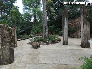 [P04] Arbori si Amoniti pietrificati in Evolution Garden » foto by mprofeanu
 - 
<span class="allrVoted glyphicon glyphicon-heart hidden" id="av602748"></span>
<a class="m-l-10 hidden" id="sv602748" onclick="voting_Foto_DelVot(,602748,6314)" role="button">șterge vot <span class="glyphicon glyphicon-remove"></span></a>
<a id="v9602748" class=" c-red"  onclick="voting_Foto_SetVot(602748)" role="button"><span class="glyphicon glyphicon-heart-empty"></span> <b>LIKE</b> = Votează poza</a> <img class="hidden"  id="f602748W9" src="/imagini/loader.gif" border="0" /><span class="AjErrMes hidden" id="e602748ErM"></span>