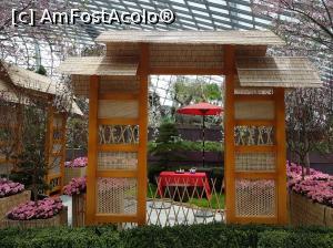 [P14] Gradina japoneza la Flower Dome » foto by Kyandra
 - 
<span class="allrVoted glyphicon glyphicon-heart hidden" id="av853927"></span>
<a class="m-l-10 hidden" id="sv853927" onclick="voting_Foto_DelVot(,853927,6314)" role="button">șterge vot <span class="glyphicon glyphicon-remove"></span></a>
<a id="v9853927" class=" c-red"  onclick="voting_Foto_SetVot(853927)" role="button"><span class="glyphicon glyphicon-heart-empty"></span> <b>LIKE</b> = Votează poza</a> <img class="hidden"  id="f853927W9" src="/imagini/loader.gif" border="0" /><span class="AjErrMes hidden" id="e853927ErM"></span>