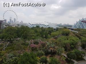 [P08] Gardens by the Bay vazute de pe pasarela » foto by Kyandra
 - 
<span class="allrVoted glyphicon glyphicon-heart hidden" id="av853921"></span>
<a class="m-l-10 hidden" id="sv853921" onclick="voting_Foto_DelVot(,853921,6314)" role="button">șterge vot <span class="glyphicon glyphicon-remove"></span></a>
<a id="v9853921" class=" c-red"  onclick="voting_Foto_SetVot(853921)" role="button"><span class="glyphicon glyphicon-heart-empty"></span> <b>LIKE</b> = Votează poza</a> <img class="hidden"  id="f853921W9" src="/imagini/loader.gif" border="0" /><span class="AjErrMes hidden" id="e853921ErM"></span>