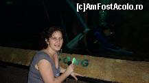 [P15] scafandrul care facea curatenie in acvariu » foto by adri-nico
 - 
<span class="allrVoted glyphicon glyphicon-heart hidden" id="av298158"></span>
<a class="m-l-10 hidden" id="sv298158" onclick="voting_Foto_DelVot(,298158,6314)" role="button">șterge vot <span class="glyphicon glyphicon-remove"></span></a>
<a id="v9298158" class=" c-red"  onclick="voting_Foto_SetVot(298158)" role="button"><span class="glyphicon glyphicon-heart-empty"></span> <b>LIKE</b> = Votează poza</a> <img class="hidden"  id="f298158W9" src="/imagini/loader.gif" border="0" /><span class="AjErrMes hidden" id="e298158ErM"></span>