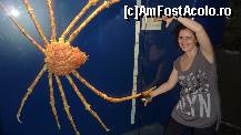 [P17] acest paianjenoi era la 'insectar' ... » foto by adri-nico
 - 
<span class="allrVoted glyphicon glyphicon-heart hidden" id="av298160"></span>
<a class="m-l-10 hidden" id="sv298160" onclick="voting_Foto_DelVot(,298160,6314)" role="button">șterge vot <span class="glyphicon glyphicon-remove"></span></a>
<a id="v9298160" class=" c-red"  onclick="voting_Foto_SetVot(298160)" role="button"><span class="glyphicon glyphicon-heart-empty"></span> <b>LIKE</b> = Votează poza</a> <img class="hidden"  id="f298160W9" src="/imagini/loader.gif" border="0" /><span class="AjErrMes hidden" id="e298160ErM"></span>