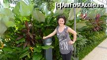 [P25] niste plante luxuriante imprejmuiau locatia » foto by adri-nico
 - 
<span class="allrVoted glyphicon glyphicon-heart hidden" id="av298171"></span>
<a class="m-l-10 hidden" id="sv298171" onclick="voting_Foto_DelVot(,298171,6314)" role="button">șterge vot <span class="glyphicon glyphicon-remove"></span></a>
<a id="v9298171" class=" c-red"  onclick="voting_Foto_SetVot(298171)" role="button"><span class="glyphicon glyphicon-heart-empty"></span> <b>LIKE</b> = Votează poza</a> <img class="hidden"  id="f298171W9" src="/imagini/loader.gif" border="0" /><span class="AjErrMes hidden" id="e298171ErM"></span>