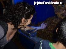 [P03] vin' la mama pestisor!am bagat mina pina mai sus de cot... » foto by adri-nico
 - 
<span class="allrVoted glyphicon glyphicon-heart hidden" id="av298143"></span>
<a class="m-l-10 hidden" id="sv298143" onclick="voting_Foto_DelVot(,298143,6314)" role="button">șterge vot <span class="glyphicon glyphicon-remove"></span></a>
<a id="v9298143" class=" c-red"  onclick="voting_Foto_SetVot(298143)" role="button"><span class="glyphicon glyphicon-heart-empty"></span> <b>LIKE</b> = Votează poza</a> <img class="hidden"  id="f298143W9" src="/imagini/loader.gif" border="0" /><span class="AjErrMes hidden" id="e298143ErM"></span>