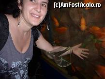 [P04] Uitati-va ce fata frumoasa are pestele care se uita spre obiectiv. » foto by adri-nico
 - 
<span class="allrVoted glyphicon glyphicon-heart hidden" id="av298145"></span>
<a class="m-l-10 hidden" id="sv298145" onclick="voting_Foto_DelVot(,298145,6314)" role="button">șterge vot <span class="glyphicon glyphicon-remove"></span></a>
<a id="v9298145" class=" c-red"  onclick="voting_Foto_SetVot(298145)" role="button"><span class="glyphicon glyphicon-heart-empty"></span> <b>LIKE</b> = Votează poza</a> <img class="hidden"  id="f298145W9" src="/imagini/loader.gif" border="0" /><span class="AjErrMes hidden" id="e298145ErM"></span>