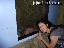 [P07] o caracatita mica pe fundul unui acvariu » foto by adri-nico
 - 
<span class="allrVoted glyphicon glyphicon-heart hidden" id="av298148"></span>
<a class="m-l-10 hidden" id="sv298148" onclick="voting_Foto_DelVot(,298148,6314)" role="button">șterge vot <span class="glyphicon glyphicon-remove"></span></a>
<a id="v9298148" class=" c-red"  onclick="voting_Foto_SetVot(298148)" role="button"><span class="glyphicon glyphicon-heart-empty"></span> <b>LIKE</b> = Votează poza</a> <img class="hidden"  id="f298148W9" src="/imagini/loader.gif" border="0" /><span class="AjErrMes hidden" id="e298148ErM"></span>